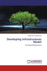 Developing Infrastructures Model