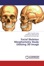 Facial Skeleton Morphometry Study Utilizing 3D Image
