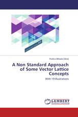 A Non Standard Approach of Some Vector Lattice Concepts