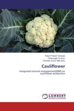 Cauliflower
