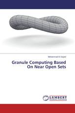 Granule Computing Based On Near Open Sets