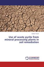 Use of waste pyrite from mineral processing plants in soil remediation