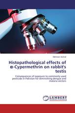 Histopathological effects of α-Cypermethrin on rabbit's testis