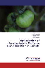 Optimization of Agrobacterium Mediated Transformation in Tomato