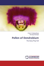 Pollen of Dendrobium