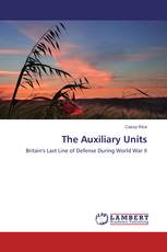The Auxiliary Units