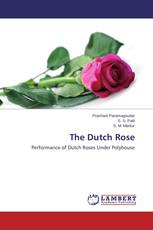 The Dutch Rose