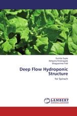 Deep Flow Hydroponic Structure