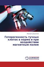 Гетерогенность тучных клеток в норме и при воздействии магнитным полем