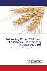 Enhancing Wheat Yield and Phosphorus Use Efficiency in Calcareous Soil