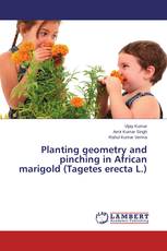 Planting geometry and pinching in African marigold (Tagetes erecta L.)