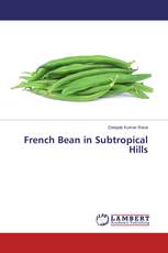 French Bean in Subtropical Hills