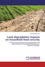 Land degradation impacts on household food security