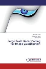 Large Scale Linear Coding for Image Classification