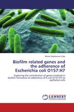 Biofilm related genes and the adherence of Escherichia coli O157:H7