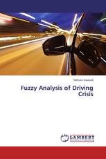 Fuzzy Analysis of Driving Crisis