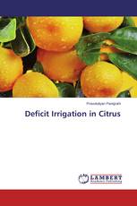 Deficit Irrigation in Citrus