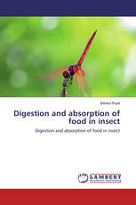 Digestion and absorption of food in insect