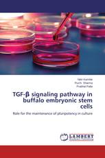 TGF-β signaling pathway in buffalo embryonic stem cells