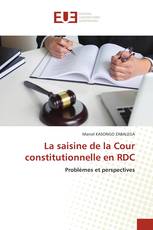La saisine de la Cour constitutionnelle en RDC