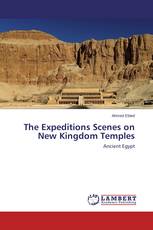 The Expeditions Scenes on New Kingdom Temples