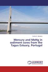 Mercury and MeHg in sediment cores from the Tagus Estuary, Portugal