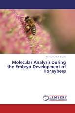 Molecular Analysis During the Embryo Development of Honeybees