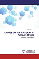 Ammonothermal Growth of Gallium Nitride