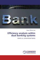 Efficiency analysis within dual banking systems