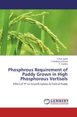 Phosphrous Requirement of Paddy Grown in High Phosphorous Vertisols