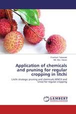 Application of chemicals and pruning for regular cropping in litchi