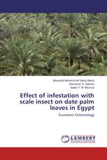 Effect of infestation with scale insect on date palm leaves in Egypt