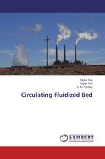 Circulating Fluidized Bed
