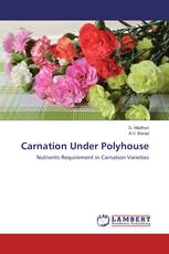 Carnation Under Polyhouse