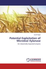 Potential Exploitation of Microbial Xylanase