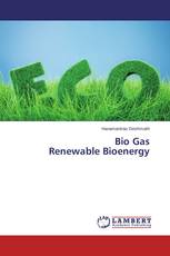 Bio Gas Renewable Bioenergy