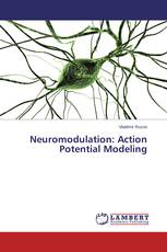 Neuromodulation: Action Potential Modeling