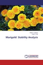 Marigold: Stability Analysis