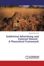Subliminal Advertising and External Stimuli: A Theoretical Framework