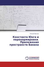 Константа Юнга и перенормировки. Приложения пространств Банаха