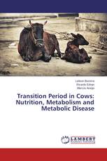 Transition Period in Cows: Nutrition, Metabolism and Metabolic Disease