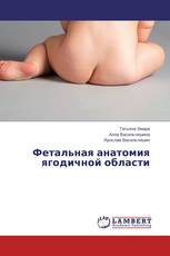 Фетальная анатомия ягодичной области