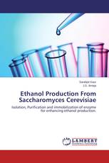Ethanol Production From Saccharomyces Cerevisiae