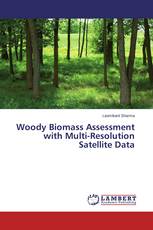 Woody Biomass Assessment with Multi-Resolution Satellite Data