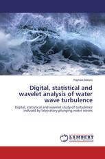 Digital, statistical and wavelet analysis of water wave turbulence