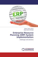 Enterprise Resource Planning (ERP) System Implementation