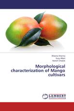 Morphological characterization of Mango cultivars
