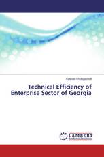 Technical Efficiency of Enterprise Sector of Georgia