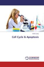 Cell Cycle & Apoptosis