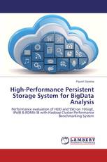 High-Performance Persistent Storage System for BigData Analysis